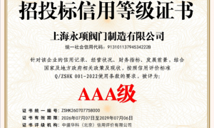 上海阀门厂家怎么选才好 2026年热门的上海永项阀门制造有限公司实力参考