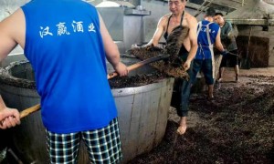 2026年东莞酱酒贴牌生产对接服务商行业全景分析
