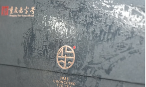 云南画册印刷哪家好？圣立印刷提供铜版纸覆膜工艺，本地客户案例分享