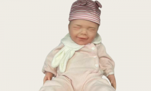 2026年口碑好的仿真婴儿工厂定制服务避坑挑选指南