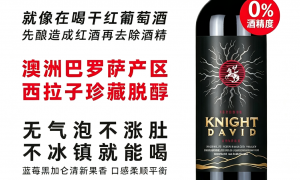 脱醇红酒批发品牌机构实力参考，发展现状与市场占有率及排名研究分析报告