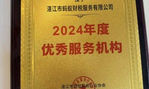 蚂蚁财税代理记账可靠吗