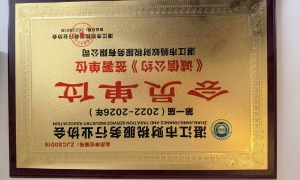 湛江市蚂蚁财税服务有限公司代理记账专业吗