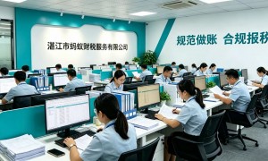 蚂蚁财税公司专业吗