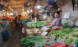 2026年杭州菜市场庭院设计服务商避坑挑选指南