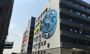 深圳墙面彩绘培训哪家靠谱？2026年专业机构用户力荐