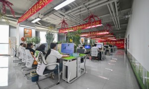 2026年热门的给父母补营养的高钙奶粉厂家实力参考