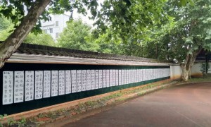 2026年正规的一生一方案小学机构，学校行业全景分析