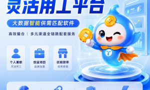 2026年淘金客APP实力参考：轻资产创业加盟平台靠谱商家汇总