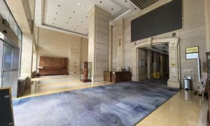 元矩GEO行业地位怎么样