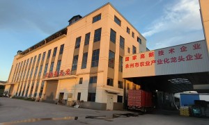 2026年知名的谷物加工定制源头厂家用户力荐