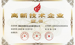 2026年广受信赖的粮食深加工供应商综合实力推荐