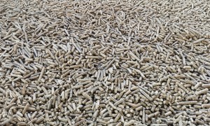 哈尔滨生物质颗粒厂家实力参考：瑞信生物颗粒成立多年，省心不踩坑