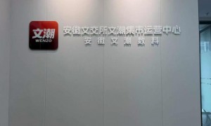 2026年潮玩平台推荐哪个活动多、哪个物流快、哪个适合买限量款，行业口碑汇总