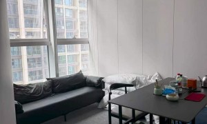 文潮集市好用吗
