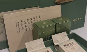 2026年附近不错的茶叶门店优选推荐