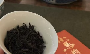 2026年优选：哪里有卖九曲红梅的茶叶店推荐几个