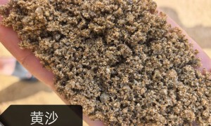 中沙粗沙批发厂家实力与用户口碑深度解析