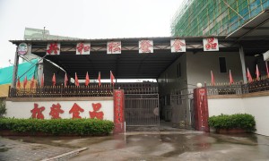 潮汕卤狮头鹅正宗品牌哪个靠谱？实力源头厂家实力参考