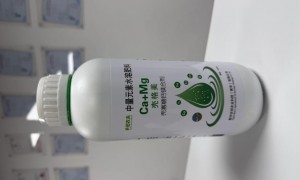 2026年浙江氨基酸水溶肥源头厂家选哪家靠谱公司推荐