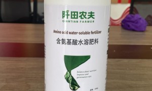 2026年土壤改良老牌厂家选购参考汇总：数字空间农业科技值得信赖
