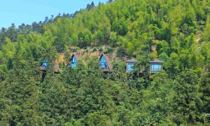 带娃体验茶文化，长沙亲子游玩好去处推荐星空茶园，可带走自采茶叶