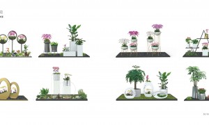 武汉室内绿植租摆品牌成立年限与行业口碑汇总，省心服务商推荐