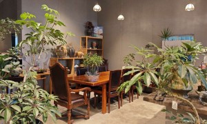 南京做公司绿植设计有没有靠谱的品牌、找能做绿植设计还长期负责的品牌公司、找服务标准统一的绿植设计公司推荐
