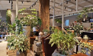 植百汇科技赋能绿植实力测评，品质看得见，价格透明无套路