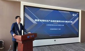 2026年资质齐全的进出口贸易合同律师推荐，专业实力参考