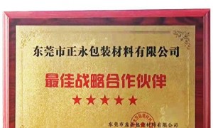 2026年珠三角地区气泡膜靠谱生产商选购参考汇总，成立多年更放心