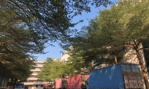 深圳靠谱货代公司推荐，专注解决账务麻烦与集货效率提升