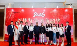 成都小微企业做直购电推荐哪家公司，资质齐全用户力荐