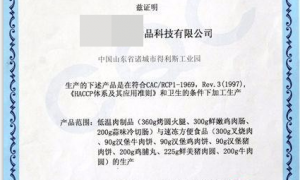 锦江区思坦达ISO13485医疗器械质量管理体系认证代办，MDQMS体系建立及CE认证前期辅导