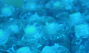 2026年菌包批发行业现状与选择指南：菌种检测报告索要、品牌推荐与成本核算全攻略