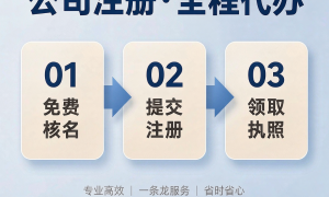 京纬咨询公司注册代办服务，提供内资外资企业设立备案及验资指导，上海本地专业团队全程跟进