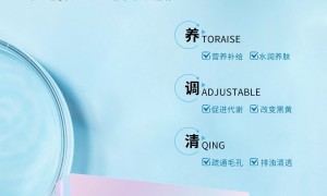 2026年日化渠道品牌斑敏痘修护护肤品牌套盒行业现状与选择指南