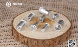 找靠谱的拉帽螺母生产公司求推荐 湖南莲港紧固件值得信赖