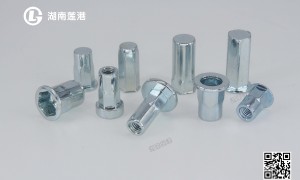浙江拉帽螺母源头厂家有哪些？靠谱商家测评排名