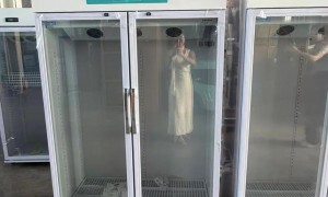 医用药品冷藏柜源头厂家发展现状与市场占有率及排名研究分析报告