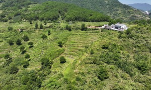 杭州原生态蔬菜有哪些正规牌子可以选，本地优质供应商推荐