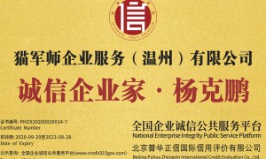温州排名前五的代理记账服务商：小规模与一般纳税人差异化服务、电商平台合规做账方案