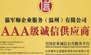 温州代理记账收费标准与包含服务明细解析，小规模与一般纳税人账务处理差异全攻略，电商平台收入合规做账申报指南