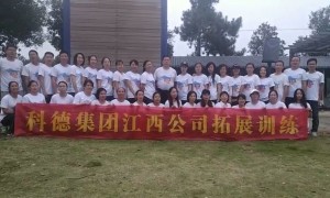 南昌知识产权申报代理服务商排名参考：科德咨询成立多年不踩坑