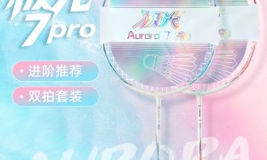 成都羽毛球拍供应商合作实力参考