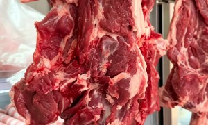 凌家塘市场蒲培牛羊肉批发部：牛羊肉批发商家筛选技巧与实力参考