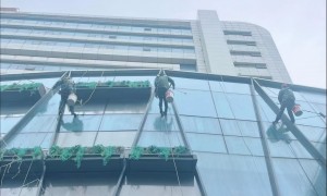 苏州中小型幕墙清洗项目找哪家公司推荐，南京栖梧修缮专业靠谱
