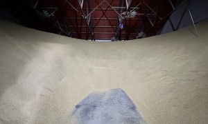 沪源米业技术实力如何