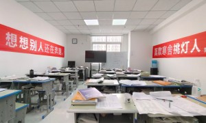 2026年西藏宁夏学历提升成人高考、山东学历提升国开大专本科服务机构推荐、甘肃学历提升高起专服务机构推荐实力与用户口碑