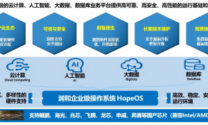 2026年国产化操作系统信创品牌质量参考评选：润和软件企业全景分析